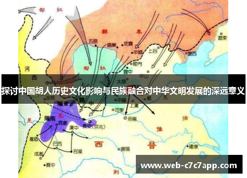 探讨中国胡人历史文化影响与民族融合对中华文明发展的深远意义